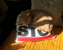 Lade das Bild in den Galerie-Viewer, We RUN STGT - das Knuffelkuschelkissen